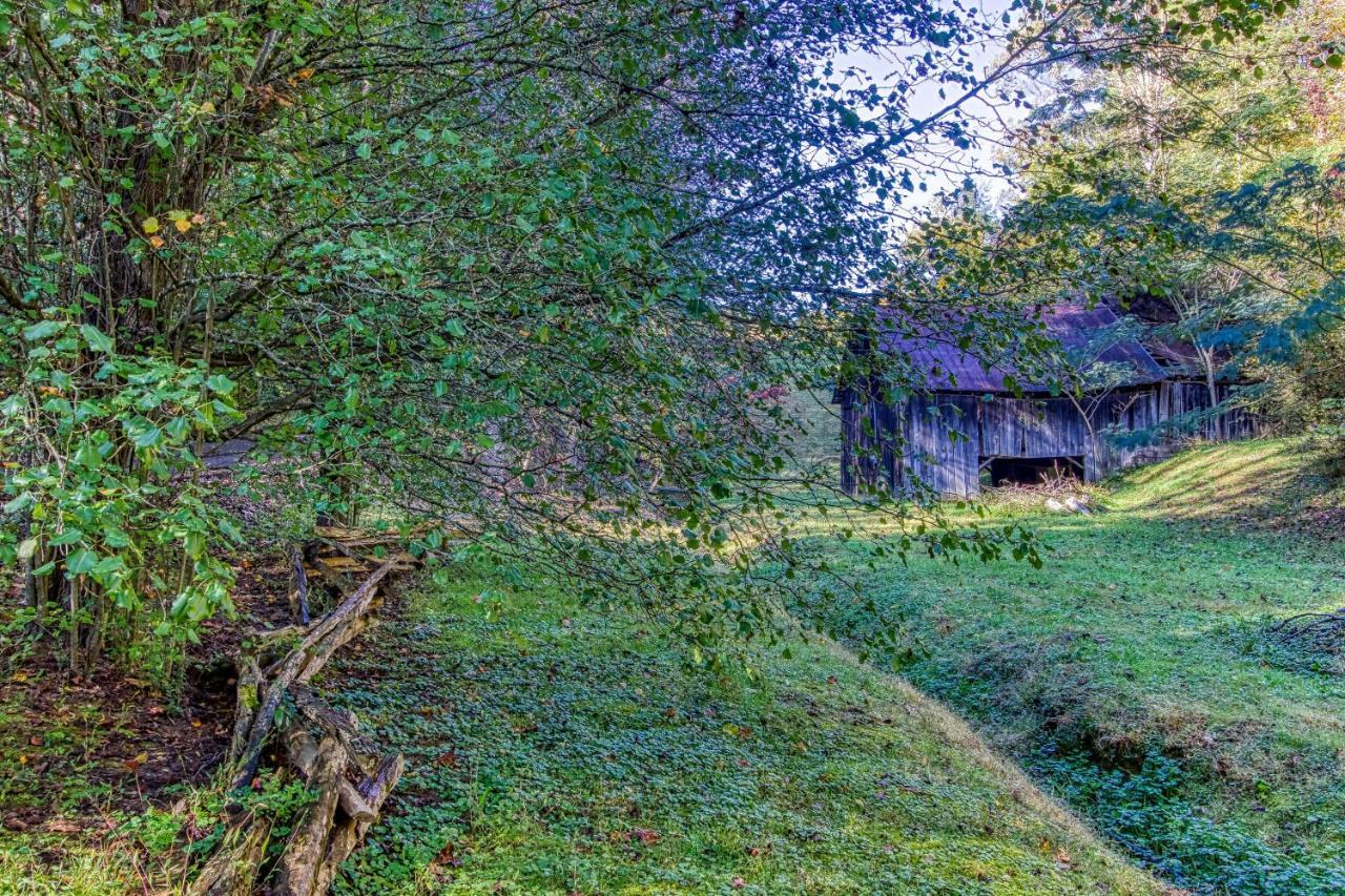 Cozy Creek Cabin Pigeon Forge Bagian luar foto