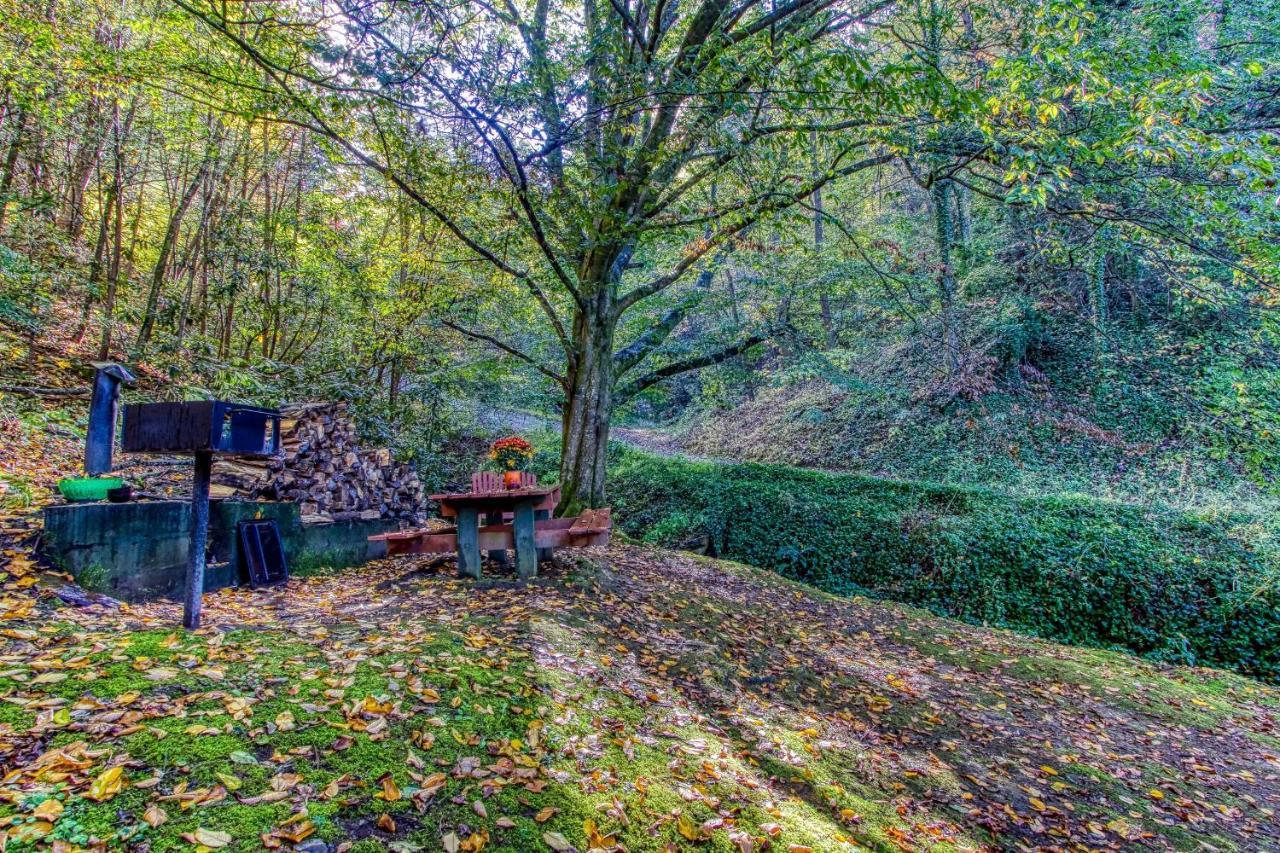 Cozy Creek Cabin Pigeon Forge Bagian luar foto