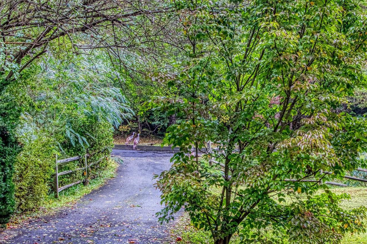 Cozy Creek Cabin Pigeon Forge Bagian luar foto