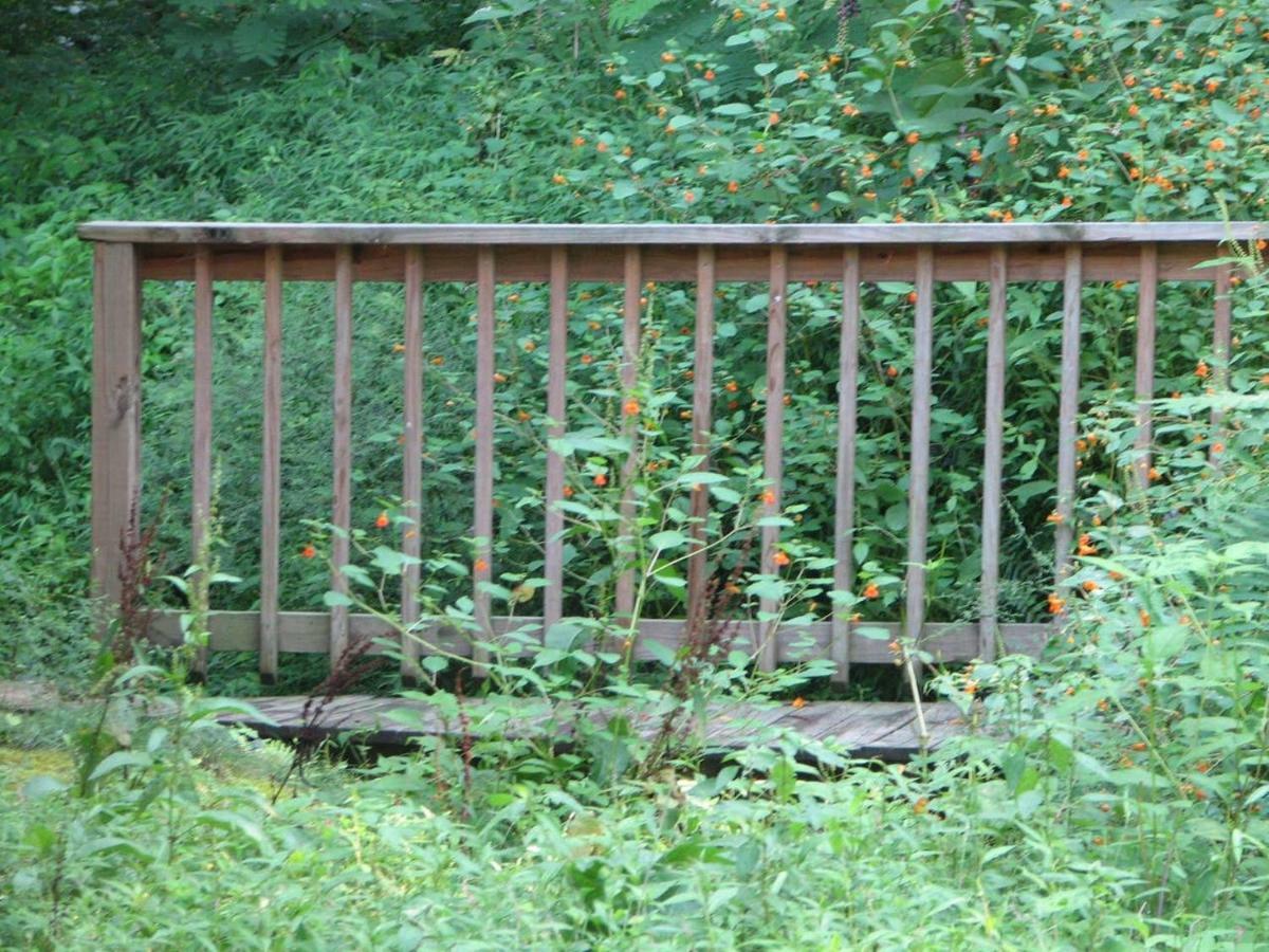 Cozy Creek Cabin Pigeon Forge Bagian luar foto