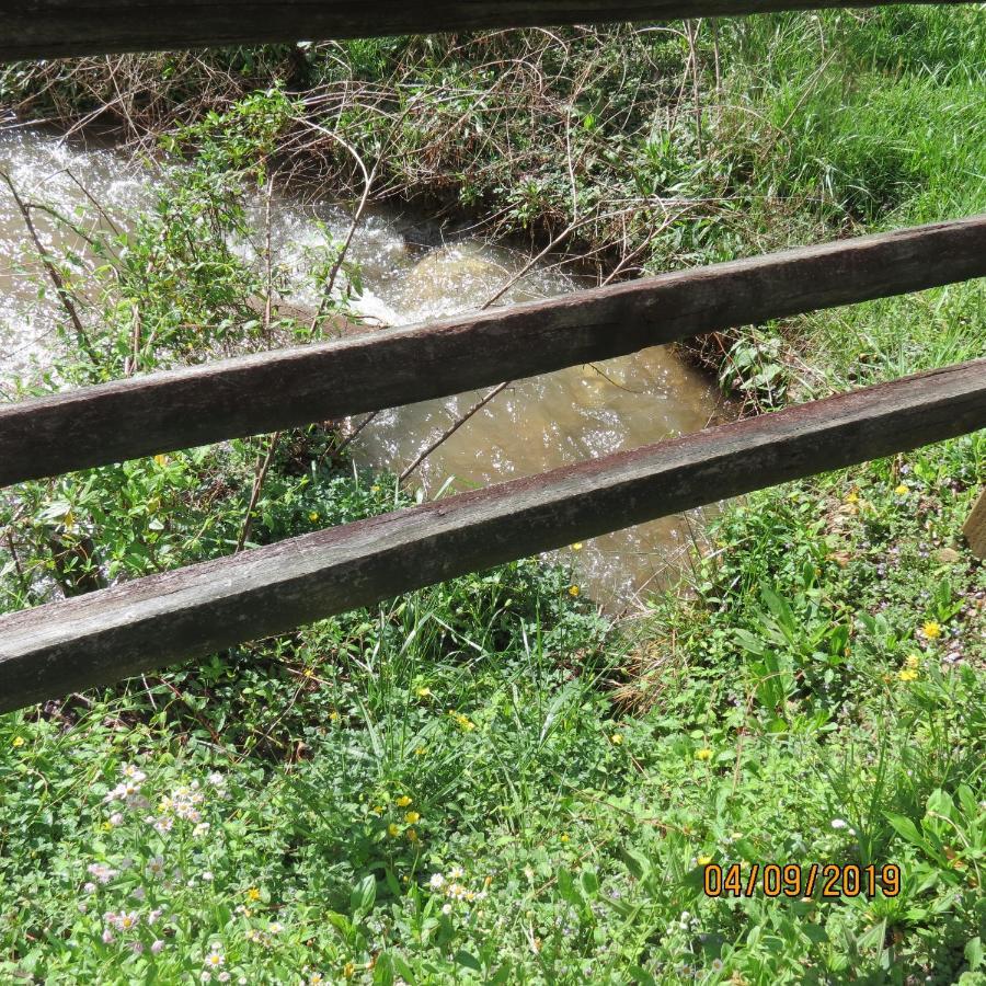 Cozy Creek Cabin Pigeon Forge Bagian luar foto