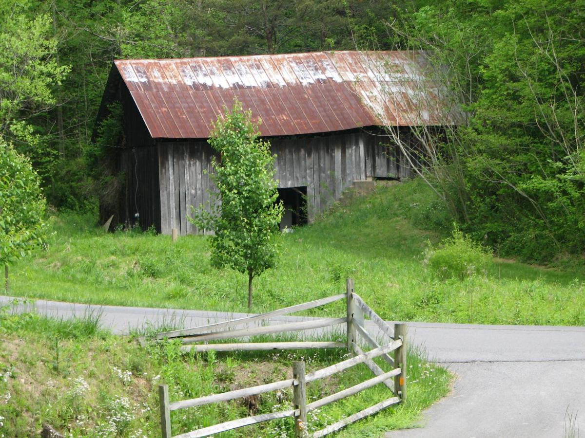 Cozy Creek Cabin Pigeon Forge Bagian luar foto